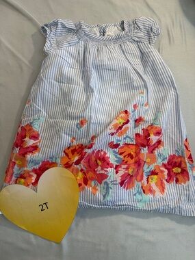 GAP - Blue and White stripe and floral lined Sundress